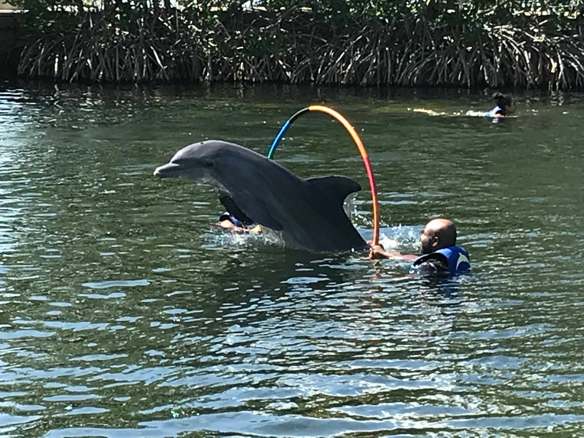 Ric Druse tweet media