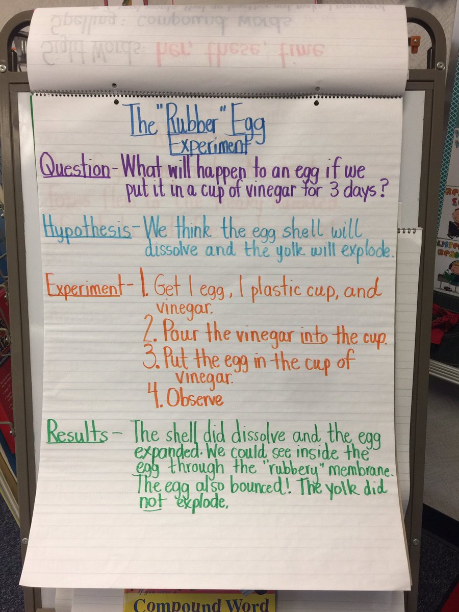 MrsFostersFoxes's tweet image. Eggs are so interesting, especially when you &quot;eggsperiment&quot; with them! @LindseyElem #rubberegg #bouncingegg