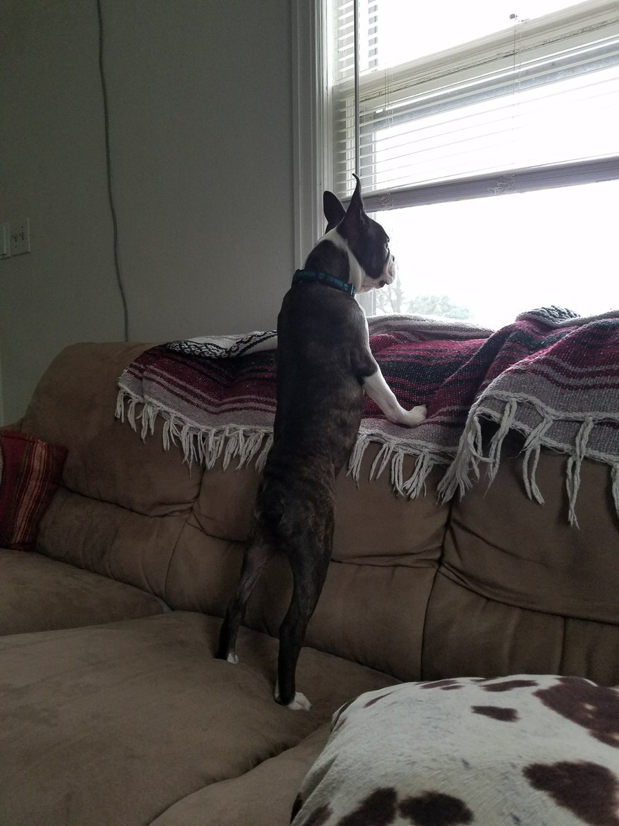 y0ungbasketball's tweet image. This is my #LongSon