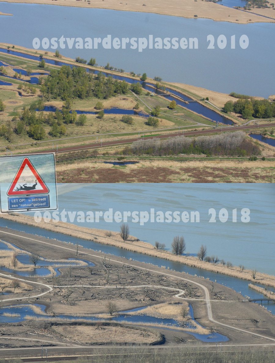 ZangeresHanny's tweet photo. @pamfoundation @peta @hansklokmagic @OmroepFlevoland @OmroepGLD @B2VoiceNot2Echo @RidderDionGraus @MerlotVine
No words needed!!! Oostvaardersplassen 2010 en anno 2018 #StopThisKilling @PS_Flevoland #OvpHorror https://t.co/IbLN31MXhe