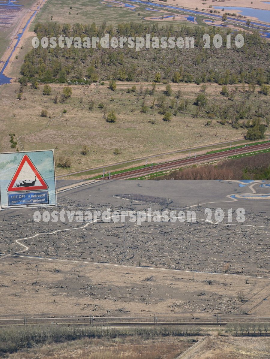 ZangeresHanny's tweet photo. @pamfoundation @peta @hansklokmagic @OmroepFlevoland @OmroepGLD @B2VoiceNot2Echo @RidderDionGraus @MerlotVine
No words needed!!! Oostvaardersplassen 2010 en anno 2018 #StopThisKilling @PS_Flevoland #OvpHorror https://t.co/IbLN31MXhe