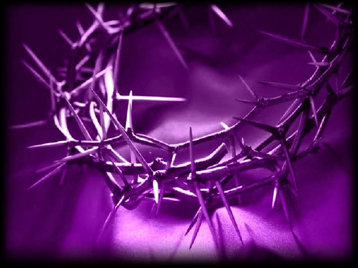 Our Lady of Lourdes Catholic Church (@lourdesparish) on Twitter photo 