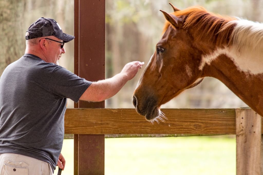 quantumleapfarm's tweet photo. This month's military retreat begins today! Thanks to all the partners who made this retreat possible: @Outback, the Chris T. Sullivan Foundation, @HFF4US, @DukeEnergy & @PinellasCF. Thank you for your generosity and care for our military veterans! #WMAE #alwaysforward https://t.co/WSLOdROhlg