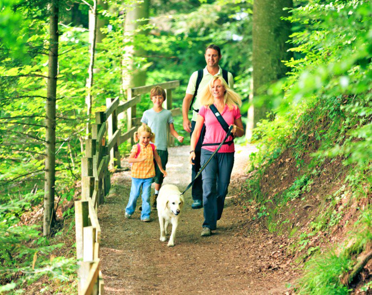 BaileyGreatPyr's tweet photo. https://t.co/0qx8KJryZN
HOW TO HIKE WITH A DOG - A GREAT PARTNERSHIP
https://t.co/fopJwfeX1F
#hike #hiking #dogs #dog #breed #puppy #puppies #Puppieson7 #lovelypuppies #paws #CutestPet #cuteanimals #AnimalsRights #AnimalKingdom #cutestdogintheworld #animali #sweet #ilovemydog https://t.co/jua5VuXT9H
