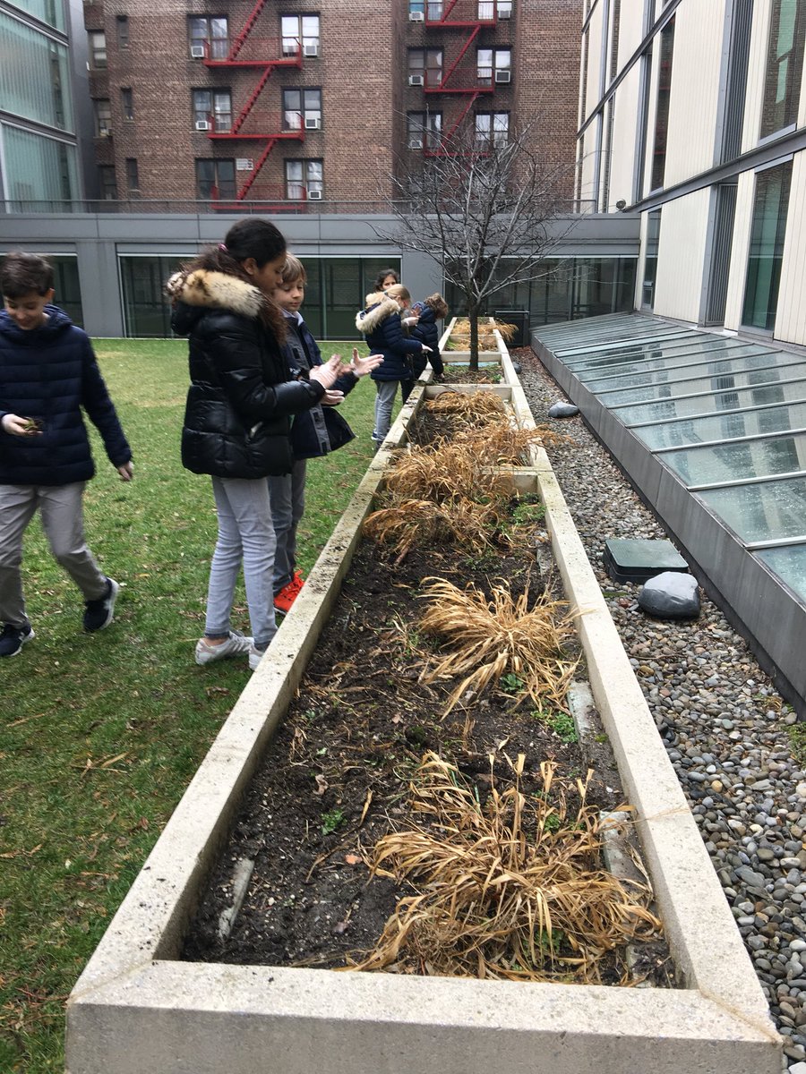 Merlin Sanchez (@Flik_Lycee_ISD) | Twitter