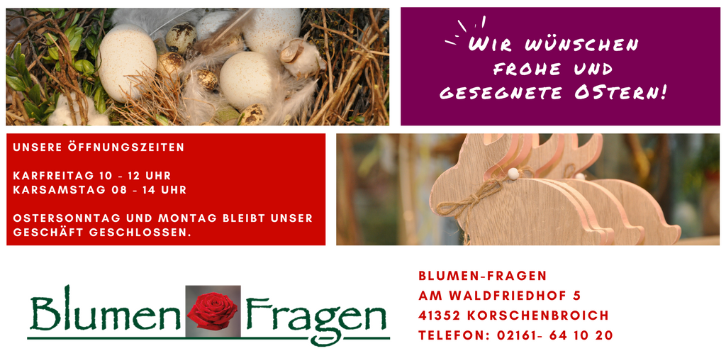 blumenfragen's tweet photo. #Verschenken Sie zu #Ostern einen kleinen #Blumengruß oder holen Sie sich den #Frühling ins Haus.

Wir wünschen Ihnen frohe und gesegnete Ostern und freuen uns auf Ihren #Besuch. https://t.co/S9lsTDVhJp https://t.co/im0LKgDLwX