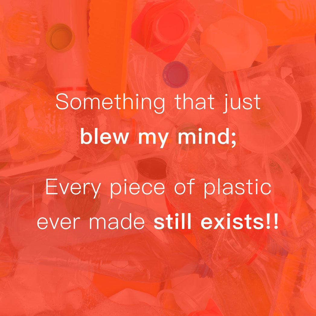 SOL Organics (@solorganix) on Twitter photo 