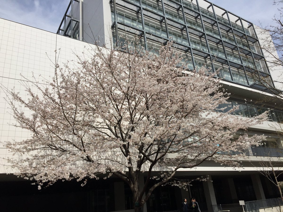 成城大学図書館 構内にある萬葉歌プレートの紹介 今日は現在満開の さくら 構内にはたくさんの桜の木が存在していますが その中から萬葉歌プレートを付けることになった栄えある一本 探してみて満開の桜のを眺めながら詩を詠んでみて下さいね 成城大学図書館 構内にある萬葉歌プレートの紹介 今日は現在満開の さくら 構内にはたくさんの桜の木が存在していますが その中から萬葉歌プレートを付けることになった栄えある一本 探してみて満開の桜のを眺めながら詩を詠んでみて下さいね