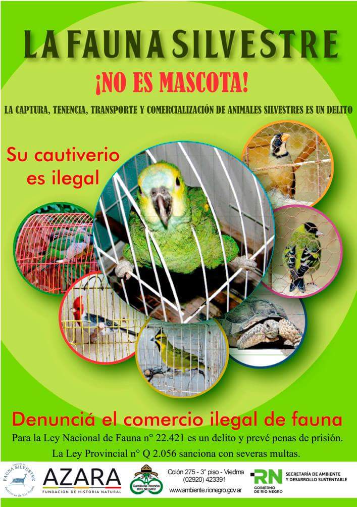 DchoAnimalUBA's tweet photo. https://t.co/dnlQ2At1BJ