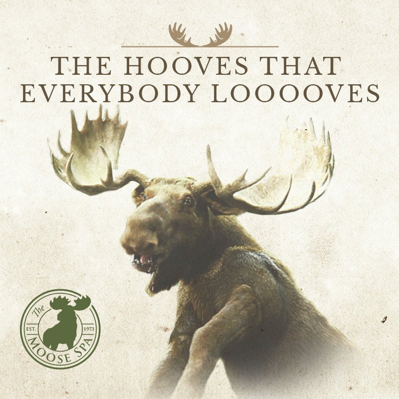 TheMooseSpa's tweet photo. Our moose are carefully bred since the 1970s and have helped thousands of customers lose stubborn fat. Message us to book your session! #massage #alaska https://t.co/YKnwip3E3Y