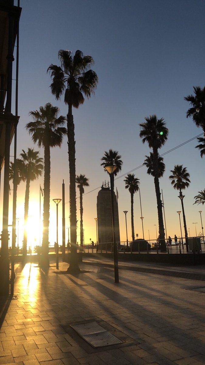 CoreyDylan1's tweet image. Blessed