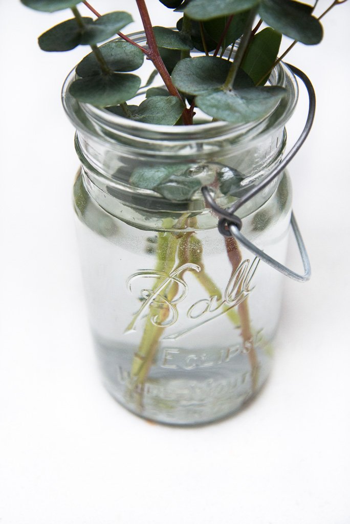 MasonJarMerch's tweet photo. ON THE BLOG... we're sharing a few of our favourite ways to use mason jars to update our homes for spring. How do you bring on spring? https://t.co/yFI3wolTEU 
.
#bringonspring #springtime #springishere #vintagemasonjar #masonjarlove #masonjarlife #vase #blooms #freshblooms https://t.co/gJ2vp3Cv3p