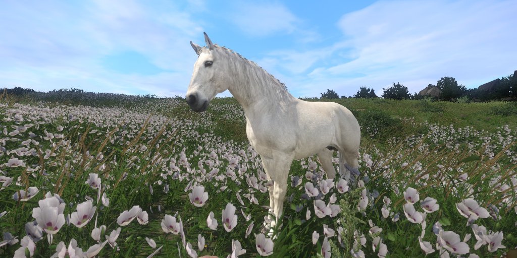 Nexus Mods on Twitter ""All The Pretty Horses" simply replaces the