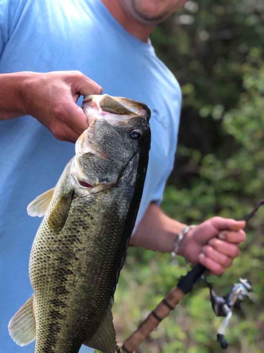 FishermanEscape's tweet photo. https://t.co/2Us0uRJASq