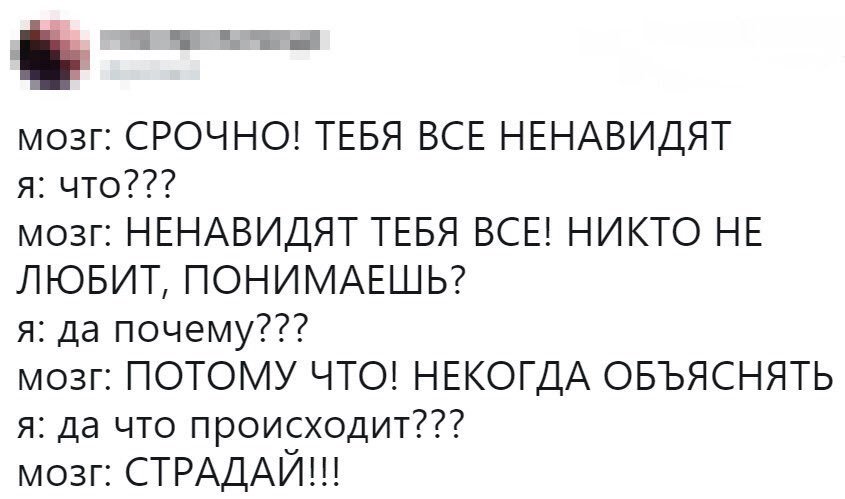 Доктор я ем и не толстею булочки. Вот поэтому я ненавижу видеоигры. Стих я ненавижу в людях ложь. Доктор почему меня все ненавидят. Ненавижу всех мужчин.