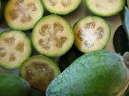 Happy Good Friday and (as I like to call it) FEIJOAS for breakfast, lunch and dinner day! I love this time of year in Aotearoa. YUMMY! Tino reka te huarākau!