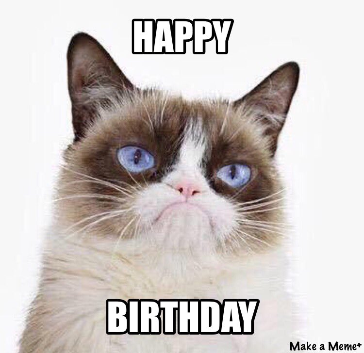 ZoeSaysMeow's tweet photo. Happy Birthday, Mama! Hope you bring me home some presents! #meow #catthings #catmayor https://t.co/nrQCJ8kPE1