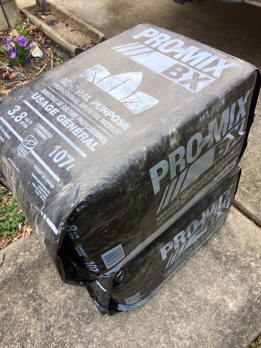 kostkastan's tweet photo. Spring arrived, at least for today. And, also found a local source for professional growing media. Finding a quality mix is a challenge in the world of big box retailers. #cspma https://t.co/AgJpR3gCvY
