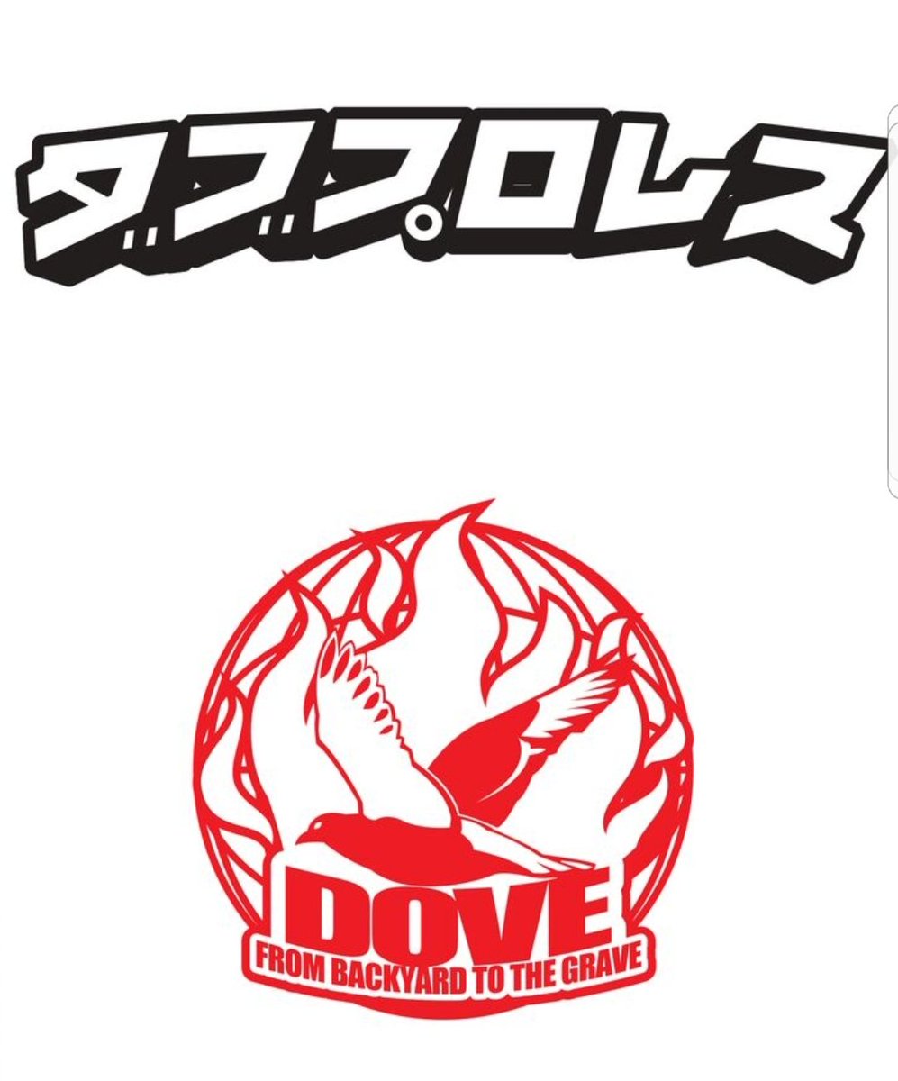 Image result for dove pro wrestling