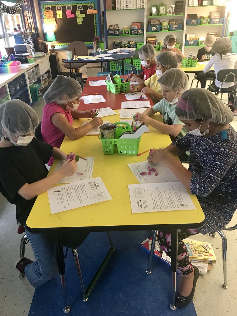 klgelwix's tweet photo. @CottondaleElem @tcss_schools Dissecting flowers to understand their power! #setthestagetoengage #flowerpower https://t.co/zAeUGeGV2P