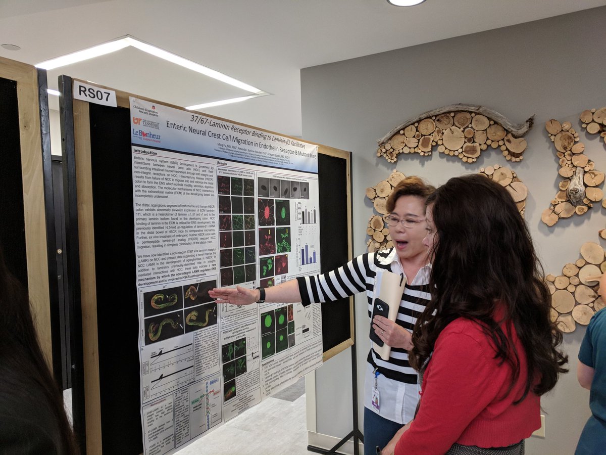 Ankush Gosain tweet media