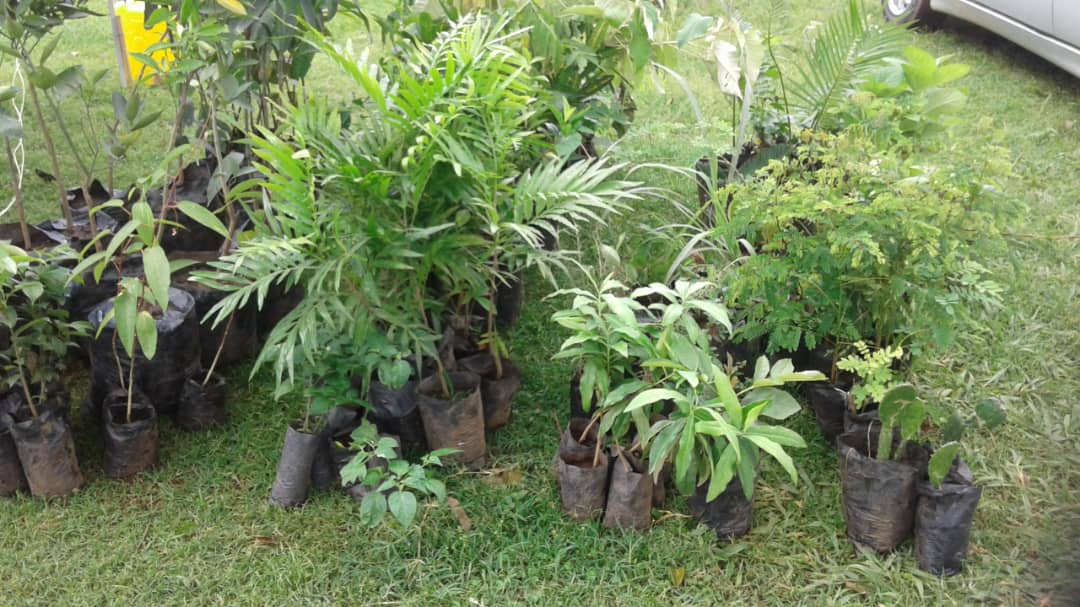 Entebbe Botanical Gardens tweet media