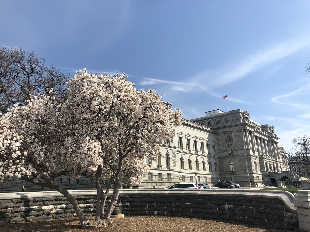 currieDC2018's tweet photo. Supreme Court (from the outside) and then we went to the National Archives (no pics allowed). Really neat to see the three documents that shaped our country. https://t.co/gfSyv95wGg