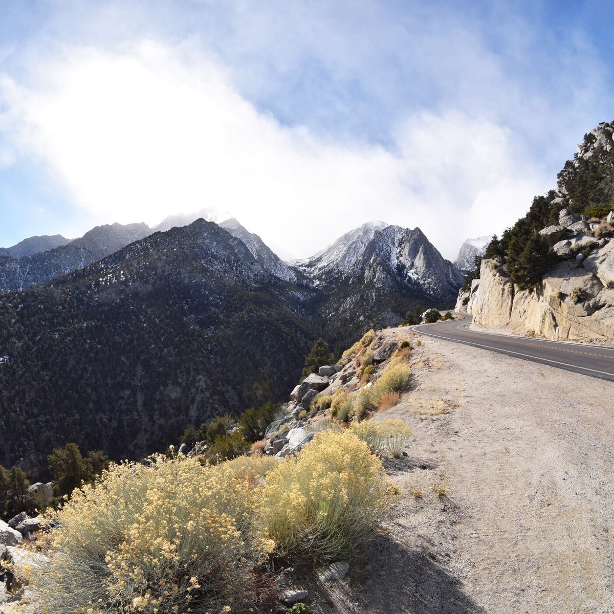 Living Vehicle tweet media