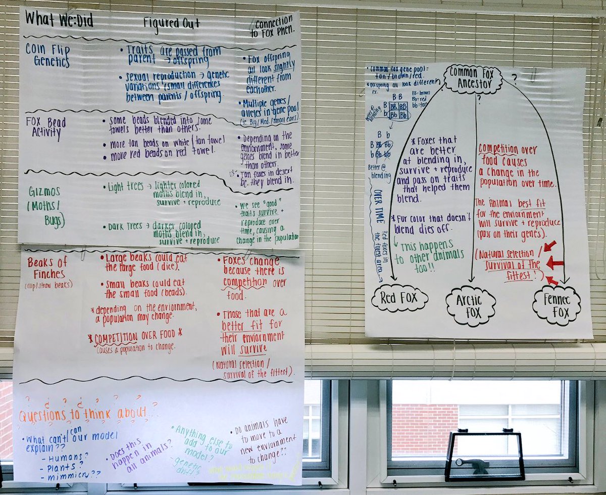 tjscience's tweet photo. Wondering what an ACTUAL Summary Table looks like in a classroom?!? Check out this one from an amazing MS unit on “How do you go from one cell to a fox?” by the powerful @miss_schilling_  Look at all that figuring out!!! #ngss #ngsschat @AmbScienceTeach (@UConnNeag alum!) https://t.co/nYbbXnvITf