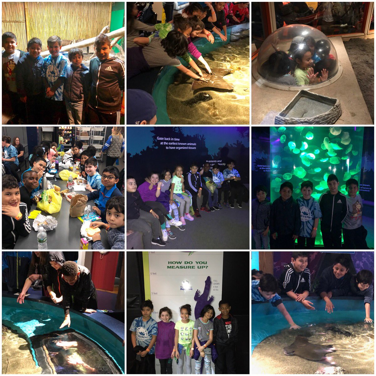 MrsPoke_8's tweet photo. 3rd grade LOVED learning about animal adaptations today at The Martime Aquarium!! 🐟 🦈 🐙 #ktm100 https://t.co/euacpq0zq9