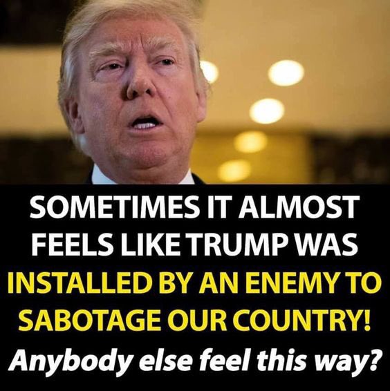 AuCaDoMom's tweet photo. @pollsofpolitics @altdave721 @realDonaldTrump @BarackObama @POTUS #PathologicalLiar #Cult45 #GasLighterInChief #MultipleBankruptcies #ConMan #RussianAsset #GiveTrumpTimeHeWillBankruptAmerica #Fools https://t.co/4pZLEwwjRc