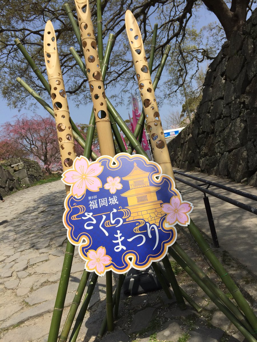 NxRvz's tweet photo. 昨日の福岡市舞鶴公園🌸
汗かきかきお花見してきました🏯🌸🌸🌸 https://t.co/w5Xve9dPWl