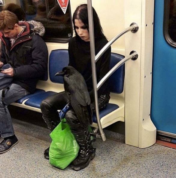 Jpgs (@jpeghz) on Twitter photo 