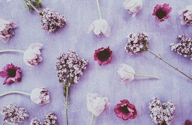 ExoCouplesBr's tweet photo. ˗ˏˋ ꒰ #⃞chanbaek aesthetic ꒱ https://t.co/dteJMZhcBo