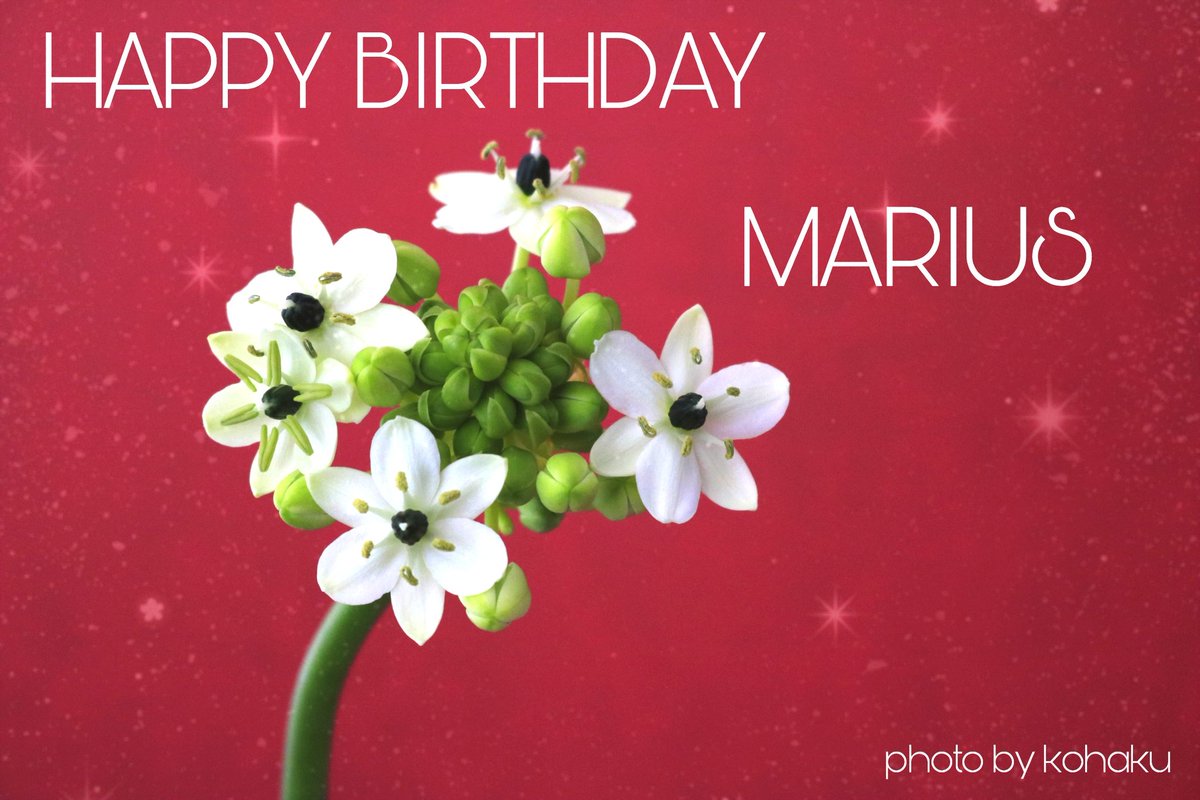 kentyjmk's tweet photo. Happy Birthday🎂
いつまでもピュアで可愛いマリウスでいてね
#マリウス誕生祭
#マリウス葉誕生祭2018
#HappyBirthdayForYou https://t.co/m3yqD7hzu6