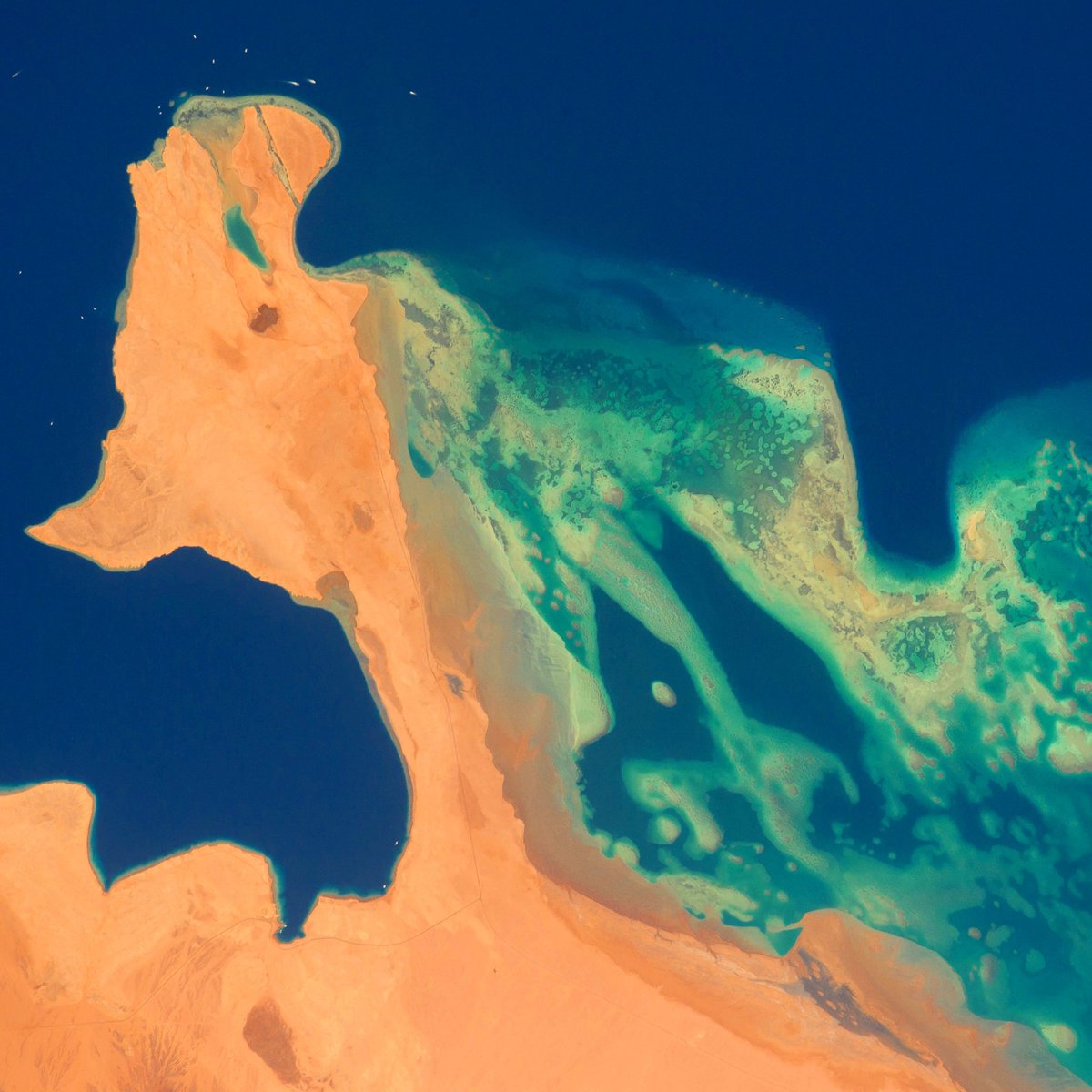 EgyptFromSpace's tweet photo. Ras Mohamed Nature Reserve - #Sinai, #Egypt — 2017 | #EgyptFromSpace #SatelliteImage #NASA https://t.co/6tO56ljn7N