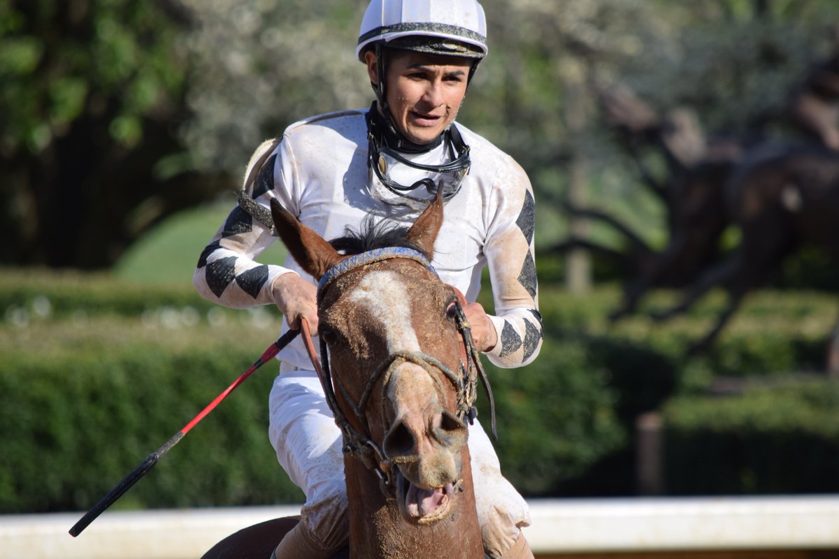 2017 <a href="/OaklawnRacing/">Oaklawn Hot Springs</a> King Cotton winner Storm Advisory &amp; David Cabrera following their 3rd-place finish in R8 for Chris Hartman &amp; <a href="/BlackHawkStable/">Black Hawk Stable</a>. Brian Williamson wins 2-way shake to claim the gelding for $50,000.