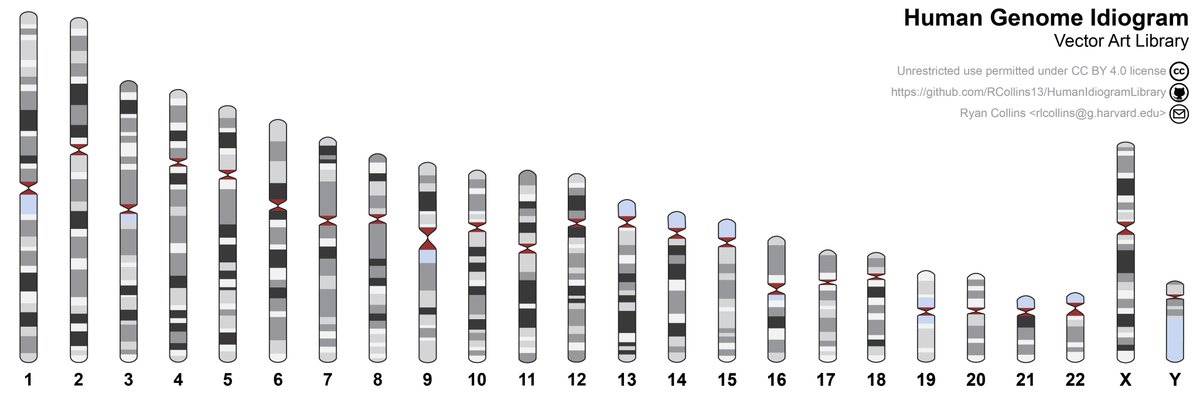 buy tears of the cheetah the genetic secrets