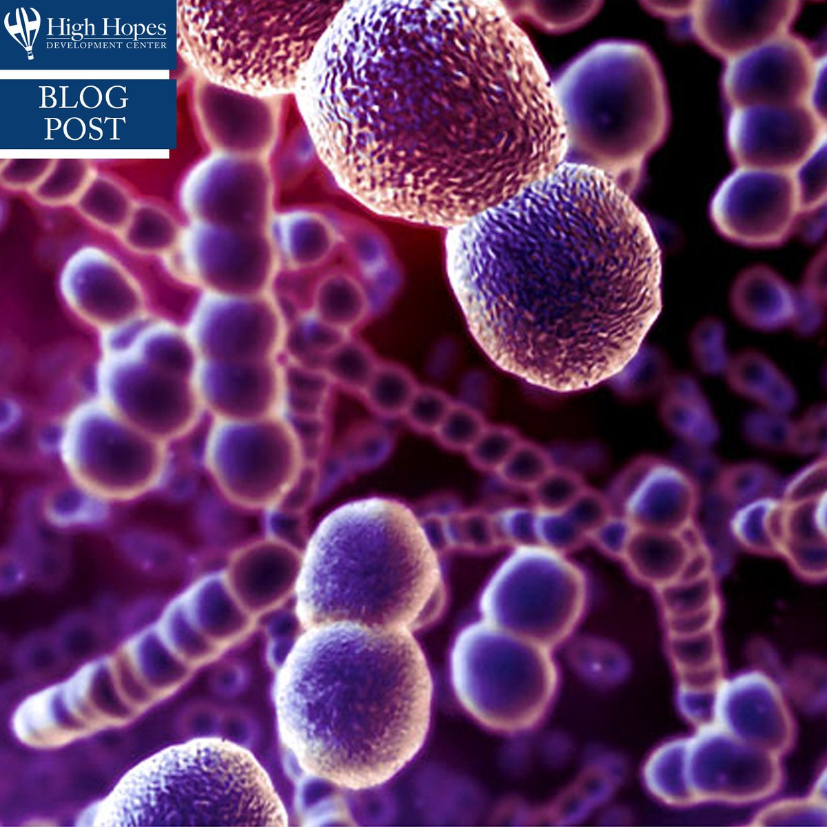 " Mom, my throat hurts."
A sore throat, or something worse? While easily treated, it's important to keep an eye out for the signs and symptoms of Strep Throat. Read more on our latest blog post!
highhopesforkids.org/blog