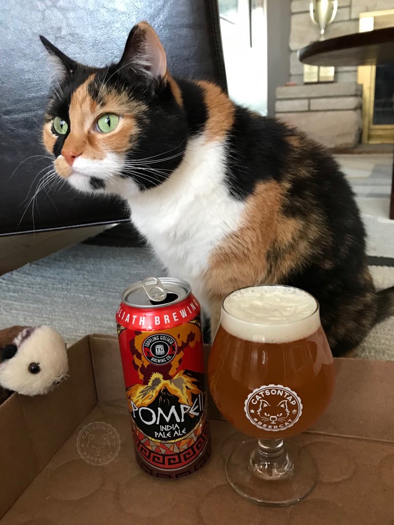 CatsOnTap's tweet photo. We’re getting ready to head out to Decorah tomorrow for #Assassin2018. #beercat Milly helping the hoomins to celebrate our first visit to the new brewery with @TGBrews Pompeii IPA: pineapple, grassy, tasty. https://t.co/TVMbUhIgJU