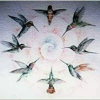 465rt9's tweet photo. The Women's Collective for Healing and Empowerment is canceling tonight's class for Acupressure for Anxiety &amp; Panic Attacks https://t.co/8UUf0NfeNk