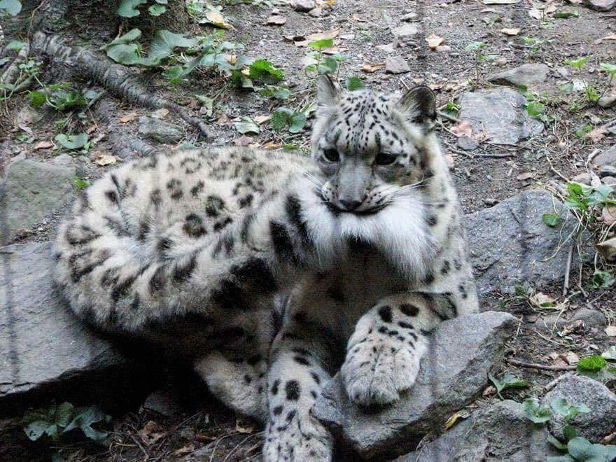 shaidersolutt's tweet photo. "vc fica triste fácil?"

- qm? eu? raro

1min dps: https://t.co/LAdIzY4piK