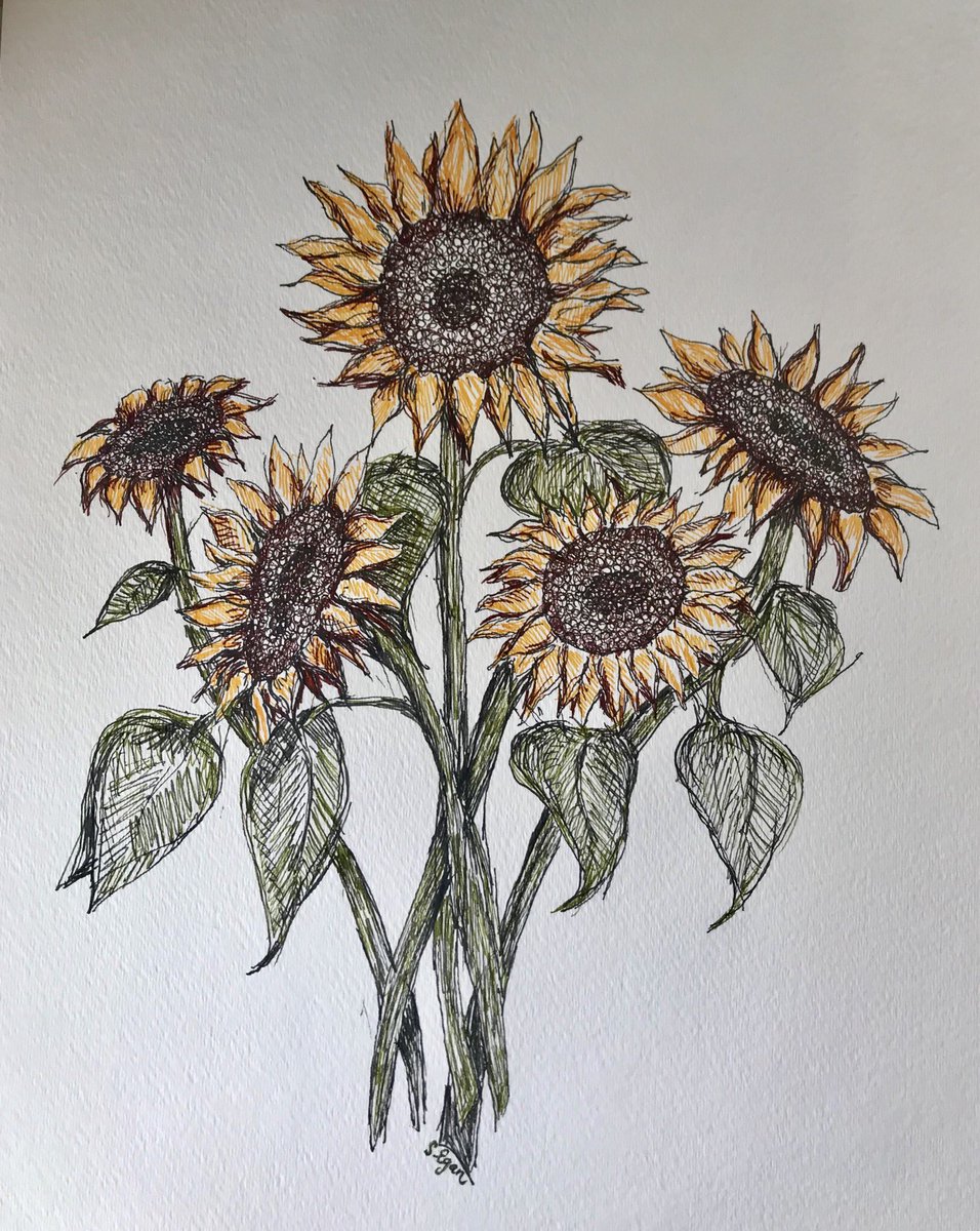 #sunflowerart #inkonpaper #inkdrawing #flowerdrawing