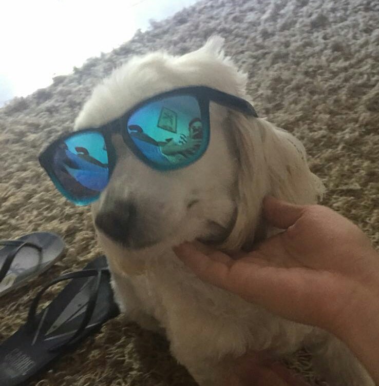 corrigiendoaSam's tweet photo. Yo en vacaciones #sinplaya #peroconsol https://t.co/dRkaoUnUDM