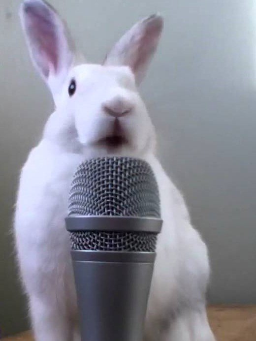 YuksEd's tweet photo. PRO AM TONIGHT 8:30PM! Tixs $5 , Appies $7, $8 double Highballs! See Dan Clarke, @TobenSL , @WelbyLosSantos, @MikeLynchComedy , @ComedianMiklos , @BenBowman! #EasterWeekend https://t.co/rQ3DulBcVo