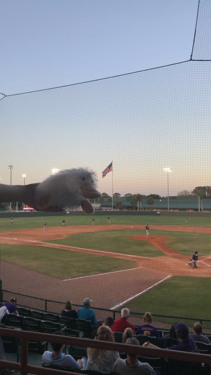 LBGSoccer's tweet photo. Phil is having a great spring break down in Florida with @abbigrable cheering on @LBbaseball16 tonight! https://t.co/bAx84JSECG