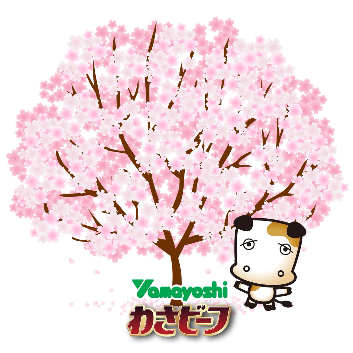 わさビーフの山芳製菓 tweet media