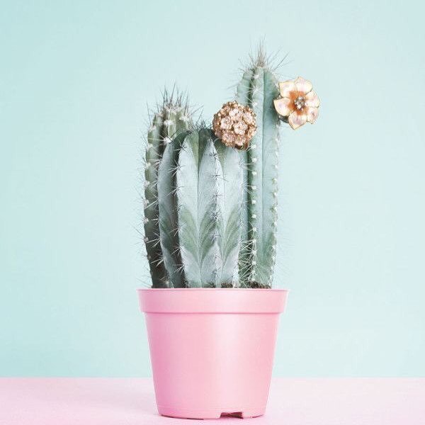 Emery & Opal tweet media