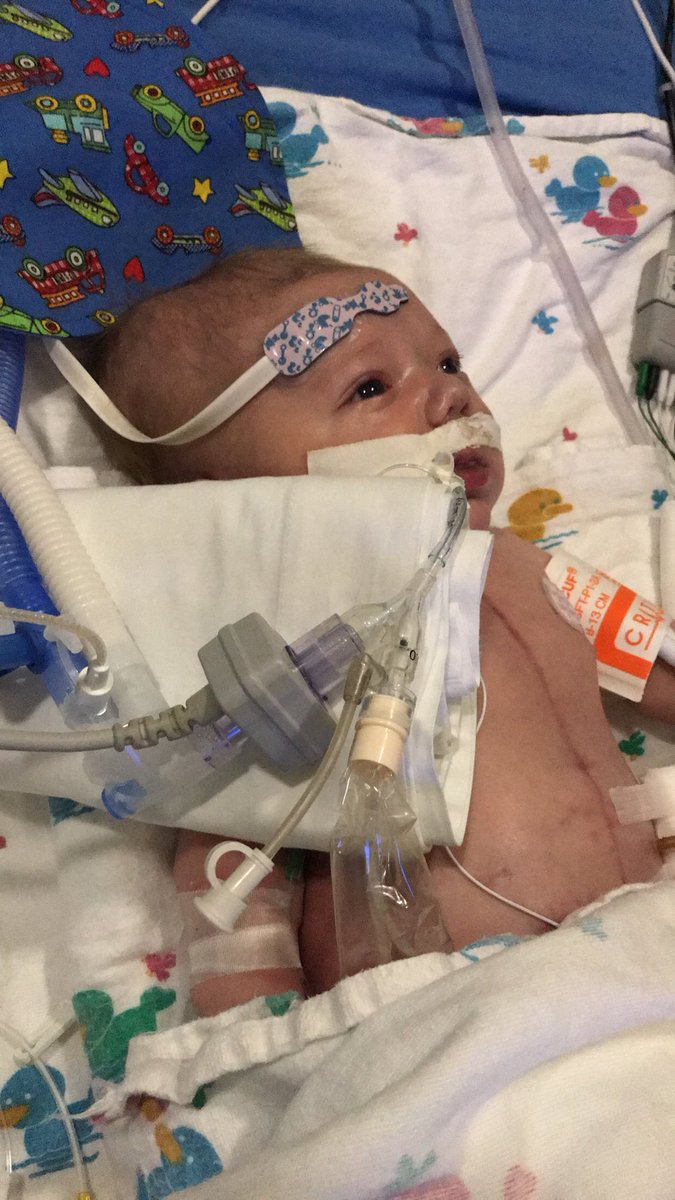 blaircasa's tweet photo. my little trooper 💘 fighting hard as ever. #fightlikedaniel https://t.co/55u4WVFR0F