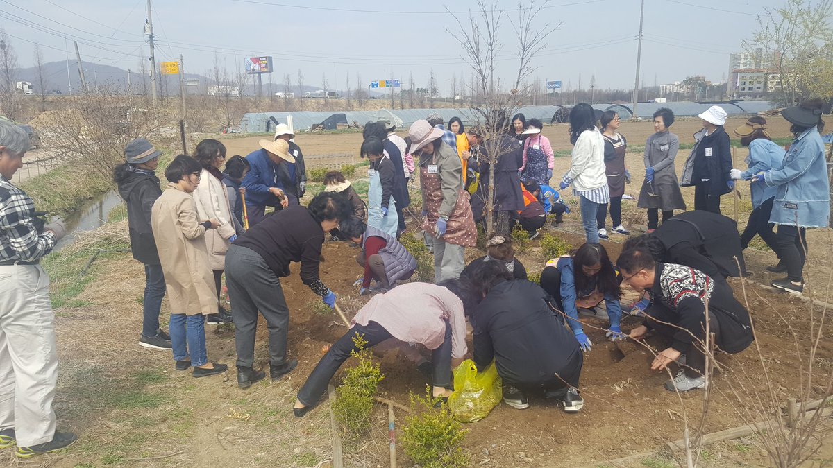 #성남시농업기술센터 #치유농업 #봄봄봄!원예교육생40명이 성남시민농원 가드닝교육장 정리와 초화류와 알뿌리 백합 3종류 보식을 진행합니다. 아름답고 마음도 활짝 치유하는 치유농업원예 활동입니다^^